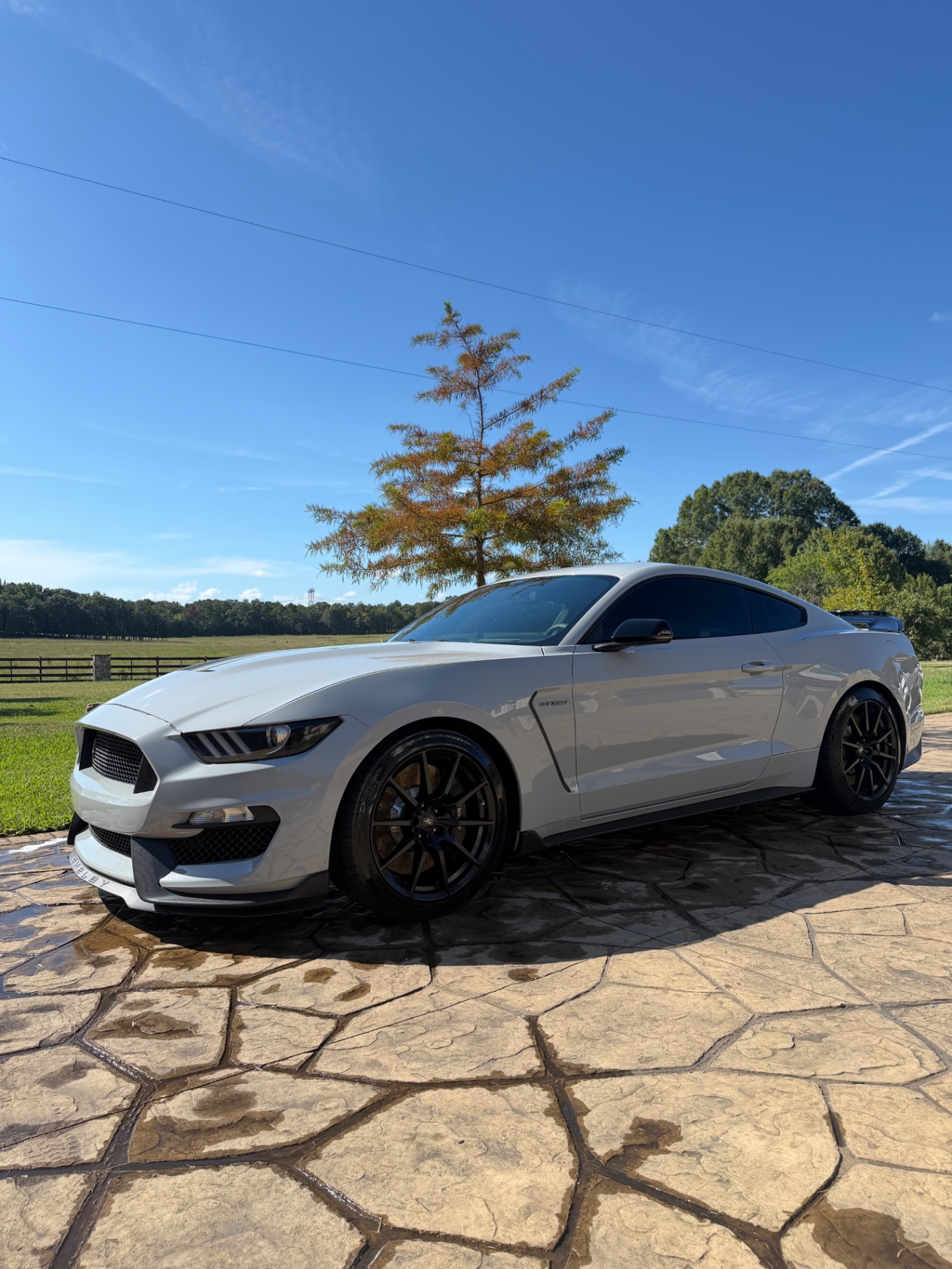 Grey Shelby Mustang after a full exterior detail